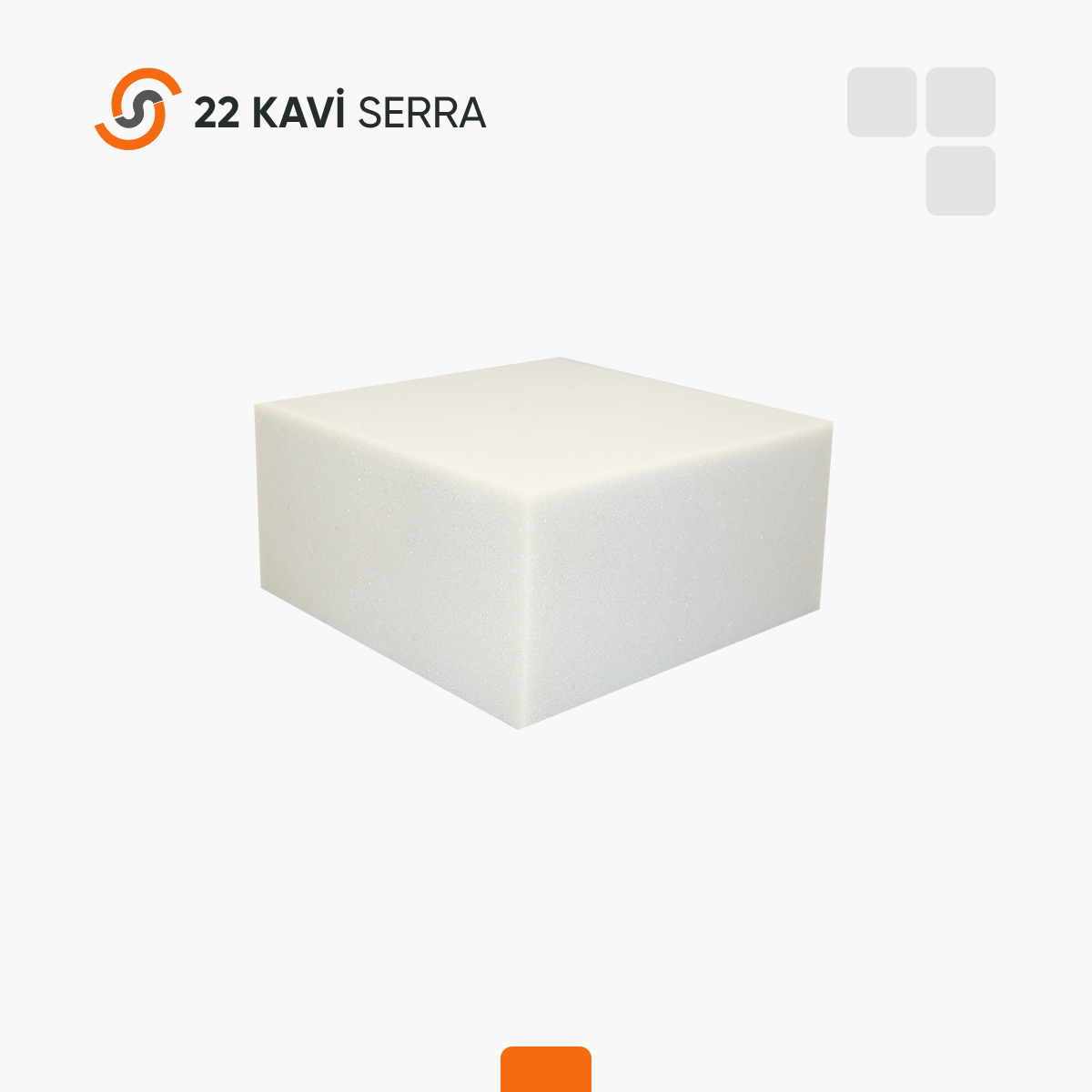 22 Kavi Serra